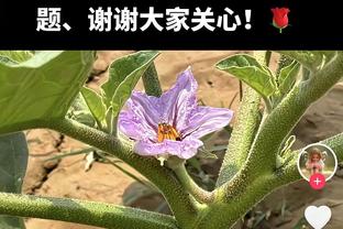 布莱克尼单场10记三分创个人CBA生涯新高 生涯至今第4次单场50+